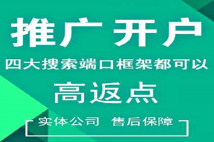 SEM专员实战案例解析